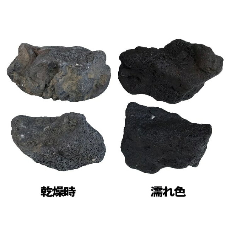 楽天市場】庭石 溶岩石 黒 庭 石 ロックガーデン ブラックカル 10kg 溶岩 ブラック 溶岩庭石 スコリア ドライガーデン ロック ガーデニング 和風 庭園 割栗石 岩 10キロ 黒色 水槽 テラリウム レイアウトストーン 水槽の石 火山石 火山岩 自然石 ガーデンロック 大きい 約 ... 楽天市場】庭石 溶岩石 黒 庭 石 ロックガーデン ブラックカル 10kg 溶岩 ブラック 溶岩庭石 スコリア ドライガーデン ロック ガーデニング 和風 庭園 割栗石 岩 10キロ 黒色 水槽 テラリウム レイアウトストーン 水槽の石 火山石 火山岩 自然石 ガーデンロック 大きい 約 ...