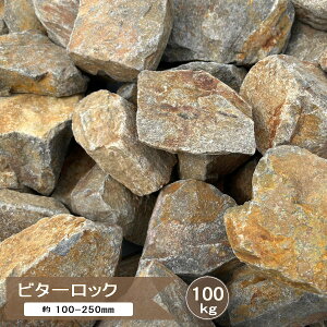  bNK[f  r^[bN 100kg  K I uE F ~bNX K[fbN a  Ԓd I K[f bN  R K[fjO  傫  I hC