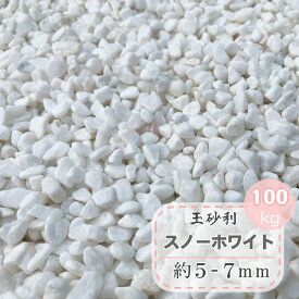 楽天市場 砂利 細かい 生産国ベトナム の通販
