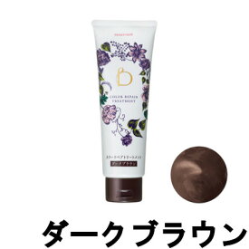 【あす楽】 資生堂 ベネフィーク カラーリペアトリートメント ダークブラウン 240g [ SHISEIDO BENEFIQUE カラートリートメント トリートメント ヘアケア ヘアカラー 色持ち 白髪 グレイカラー ]