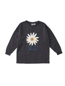 ROXY MINI BELLIS S/STEE ロキシー トップス カットソー・Tシャツ ホワイト【送料無料】
