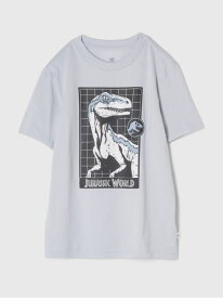 【SALE／40%OFF】GAP (K)ジュラシック・ワールド グラフィックTシャツ (幼児) ギャップ トップス カットソー・Tシャツ グレー ブラック【RBA_E】