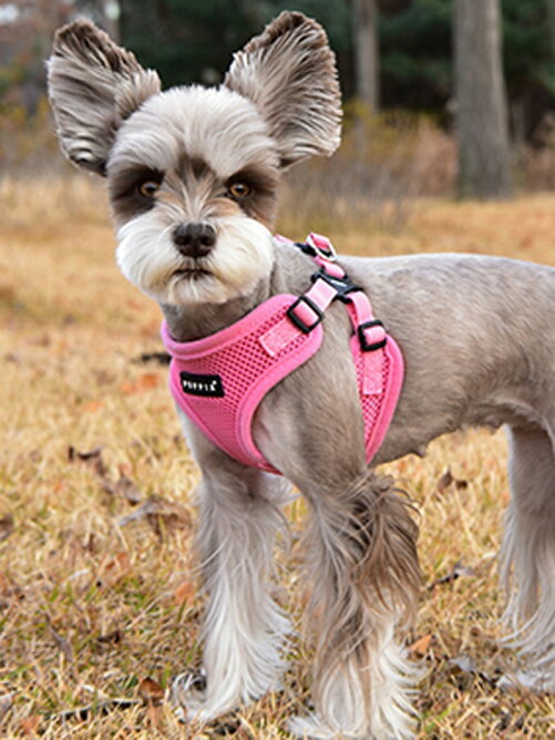 はっぴーdog Puppia U Puppia パピア 正規品 ソフトベストハーネス ハーネス 胴輪 犬服 犬 服 犬の服 ドッグウェア Rakuten Fashion 楽天ファッション 旧楽天ブランドアベニュー T