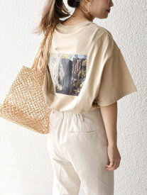 SHIPS WOMEN 《一部追加予約》* オーガニックコットン フォト ショート スリーブ TEE 24SS ◆ シップス トップス カットソー・Tシャツ ホワイト ベージュ カーキ ブラウン【送料無料】