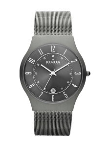 �ySALE�^10%OFF�zSKAGEN Sunby Titanium 233XLTTM �X�J�[�Q�� �A�N�Z�T���[�E�r���v �r���v�y���������z