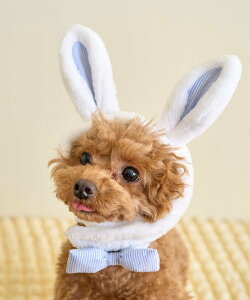 ROPE' PICNIC PASSAGE yDOGzC[X^[ ysNjbN ybgpi ybgEFAEybg zCg