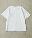 sampo×earコラボTシャツ《綿100%》