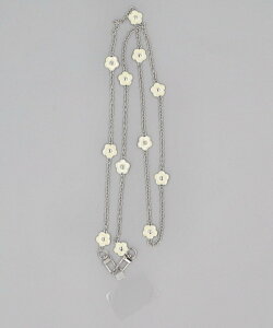 BACKYARD FAMILY Ot[`[tXgbv [ X}zObYEI[fBI@ ̑̃X}zObYEI[fBI@ ubN Vo[