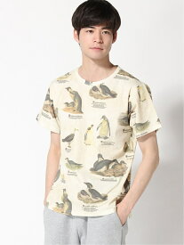 楽天市場 ゴースローキャラバン セールの通販