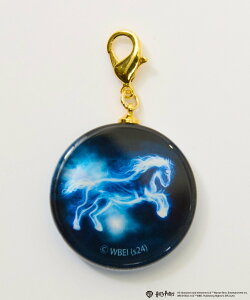 Magine FLAPPER:HarryPotter n[E|b^[ KX`[ }[W t@bVG `[EL[`F[