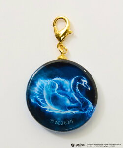 Magine FLAPPER:HarryPotter n[E|b^[ KX`[ }[W t@bVG `[EL[`F[
