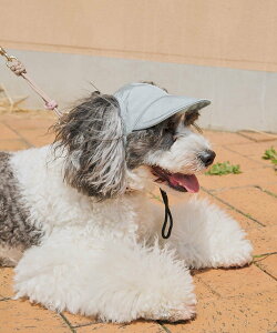 ySALE^50%OFFzROPE' PICNIC PASSAGE yDOGzycomif(R~t)*ROPE' PICNICzVCj[Lbv/NR[f ysNjbN ybgpi ybgEFAEybg u[