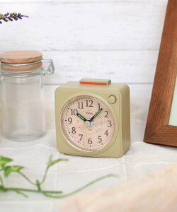 BACKYARD FAMILY MAG dqڊo܂v~jN [ CeAEG v uE x[W