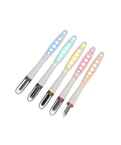 BACKYARD FAMILY }C` SX-NEO S| SK[ht [ CeAEG IuWFEuEA[g