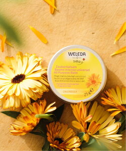 F_ yzF_/(U)Jh xr[}`o[ lC`[YEFC {fBPAEI[PA {fBN[EIC