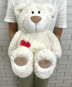 NICI NICI/NICI(jL)/ʂ uxA zCg 50cm AgXNGA CeAEG EQ[EtBMA zCgyz