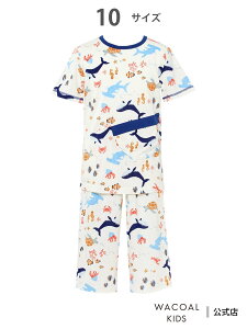 R[_LbY R[ LbY jpW} 3  7 100%({) R[ LbYEWjA Ci[E[EFA pW}yz