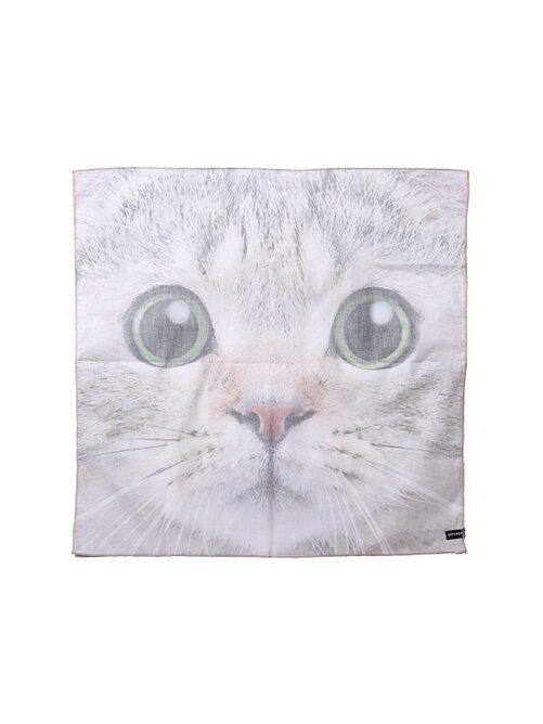 Hipshop Hipshop U スコティッシュフォールド 黒猫 ラグドール オッドアイハンカチ Rakuten Fashion 楽天ファッション 旧楽天ブランドアベニュー T Hipshop Hipshop U スコティッシュフォールド 黒猫 ラグドール オッドアイハンカチ Rakuten Fashion 楽天ファッション 旧楽天ブランドアベニュー T
