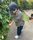 【KIDS】【U.S. POLO ASSN.】シアサッカー半袖シャツ