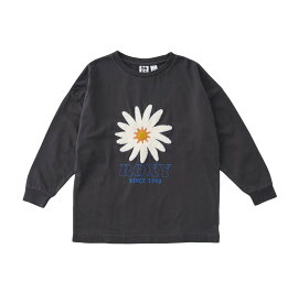 ROXY MINI BELLIS S/STEE ロキシー トップス カットソー・Tシャツ ホワイト【送料無料】