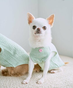 ySALE^50%OFFzROPE' PICNIC PASSAGE yDOGzpCsO^Ngbv ysNjbN ybgpi ybgEFAEybg CG[