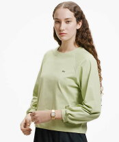 楽天市場】ラコステ 長袖 tシャツ（カラーグリーン）の通販