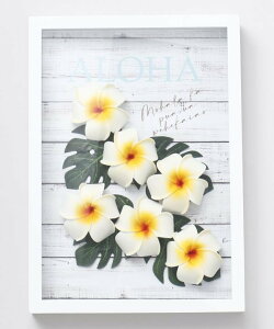 Kahiko �v�������A�f�R�t���[�� �A�~�i�R���N�V���� �C���e���A�E�����G�� �J�[�e�� �z���C�g �s���N