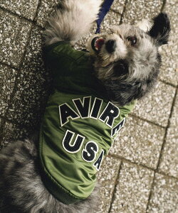 AVIREX sDOG WEAR/hbO EFAtMA-1 LOGO /hbNEFA GG[ ABbNX ybgpi ybgEFAEybg O[ bhyz
