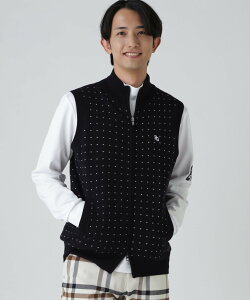 PEARLY GATES 14G_uWK[hJV~tWbvjbgxXg ~jhbg p[[QCc gbvX jbg lCr[yz