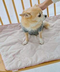 ROPE' PICNIC PASSAGE yDOGz}bg ysNjbN ybgpi ybgEFAEybg