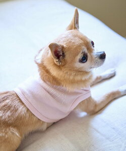 ySALE^30%OFFzROPE' PICNIC PASSAGE yDOGzNbvhSXEFbg/NR[f ysNjbN ybgpi ybgEFAEybg sN zCg O[