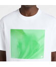 NB GREYフォトTシャツグリーン