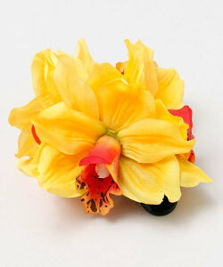 Maunaloa y}EiAzijvAVrNbv A~iRNV wAANZT[ ob^EwANbvEwAs p[v sN CG[