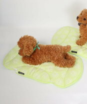 楽天市場】picone 犬の通販