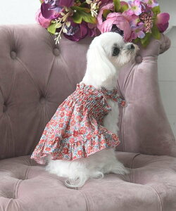 LAURA ASHLEY HOME A}C fBbcB[ hbOEGA [ AVC ybgpi ̑̃ybgpi bhyz