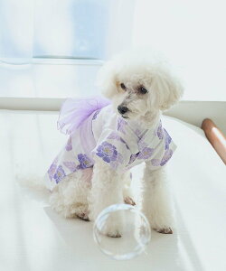 ySALE^50%OFFzROPE' PICNIC PASSAGE yDOGzyڐG⊴z ysNjbN ybgpi ybgEFAEybg lCr[