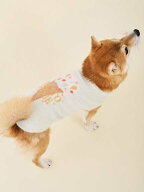 【SALE／30%OFF】GELATO PIQUE CAT&DOG 【CAT&DOG】アイスジャガードプルオーバー ジェラートピケ ペット…