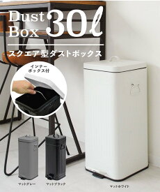 b.c.l Galva/ゴミ箱 スクエアダストボックス 30L 《マットグレー》 アントレスクエア インテリア・生活雑貨 ゴミ箱・ダストボックス グレー【送料無料】