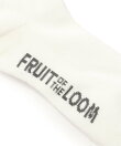 FRUIT OF THE LOOM/(W)Q.FTLカラフルラインD