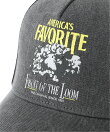 FRUIT OF THE LOOM/(U)MESH CAP ?2