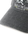 FRUIT OF THE LOOM/(U)MESH CAP ?2
