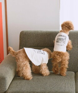 ySALE^30%OFFzROPE' PICNIC PASSAGE yDOGz}Eevg^Ngbv/NR[f ysNjbN ybgpi ybgEFAEybg zCg O[