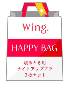 Wing 【福袋】ウイング ナイトアップブラ 寝るとき用 3枚セット ウイング インナー・ルームウェア ブラジャー【送料無料】