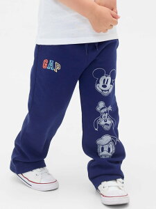 GAP (K)Gap × fBYj[ Be[W\tg XEFbgpc (cExr[) Mbv pc W[WEXEFbgpc lCr[yz