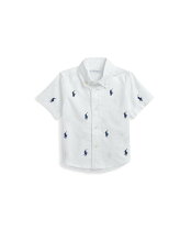 楽天市場】ラルフローレン ビッグポニー（シャツ・ブラウス｜トップス 