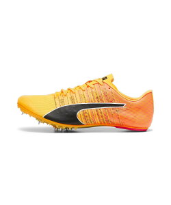 PUMA Y GHXs[h t[`[ 6 p XpCN v[} V[YEC Xj[J[yz