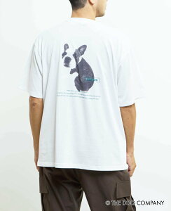 MEN'S MELROSE sʒtyMASTER FRAME/}X^[t[zTHE DOG AND FRIENDS TVc Y[Y gbvX Jbg\[ETVc zCgyz