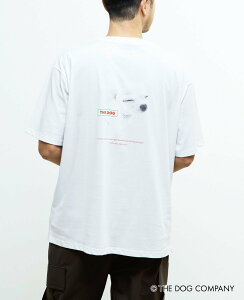 MEN'S MELROSE sʒtyMASTER FRAME/}X^[t[zTHE DOG AND FRIENDS TVc Y[Y gbvX Jbg\[ETVc zCgyz