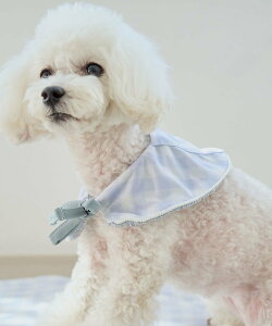 ySALE^30%OFFzROPE' PICNIC PASSAGE yDOGzЂX^C ysNjbN ybgpi ybgEFAEybg