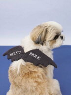 GELATO PIQUE CAT&DOG 【HALLOWEEN】【CAT&DOG】こうもりウイング ジェラートピケ ペット用品 その他のペ…